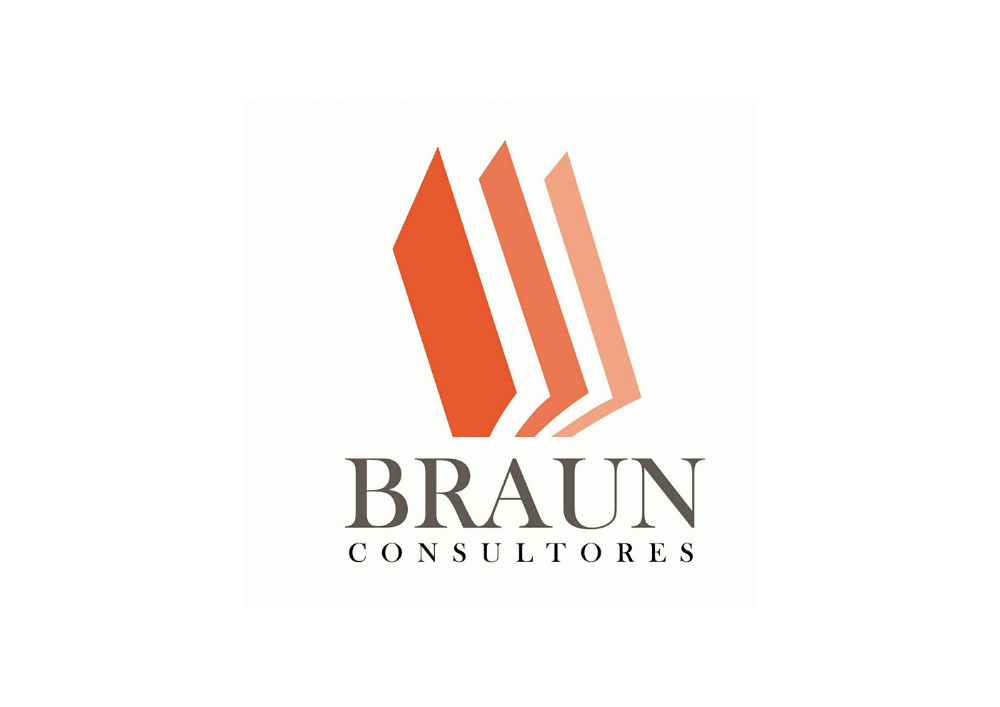 BRAUN CONSULTORES