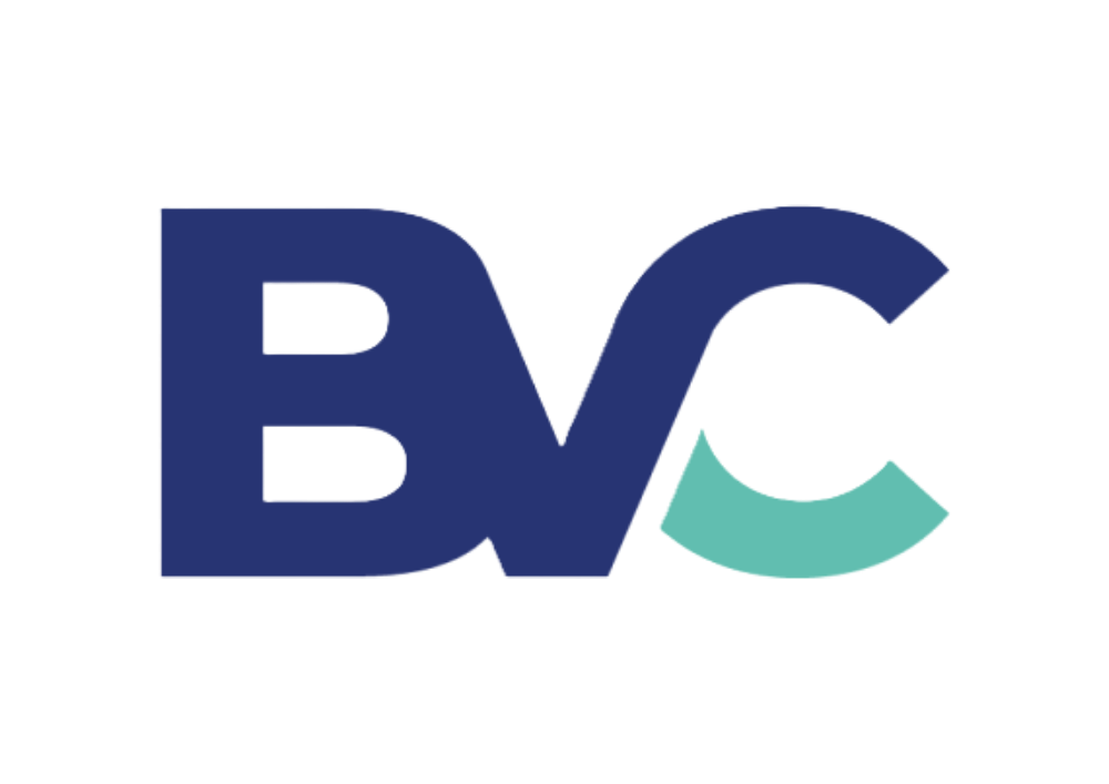 BVC GROUP