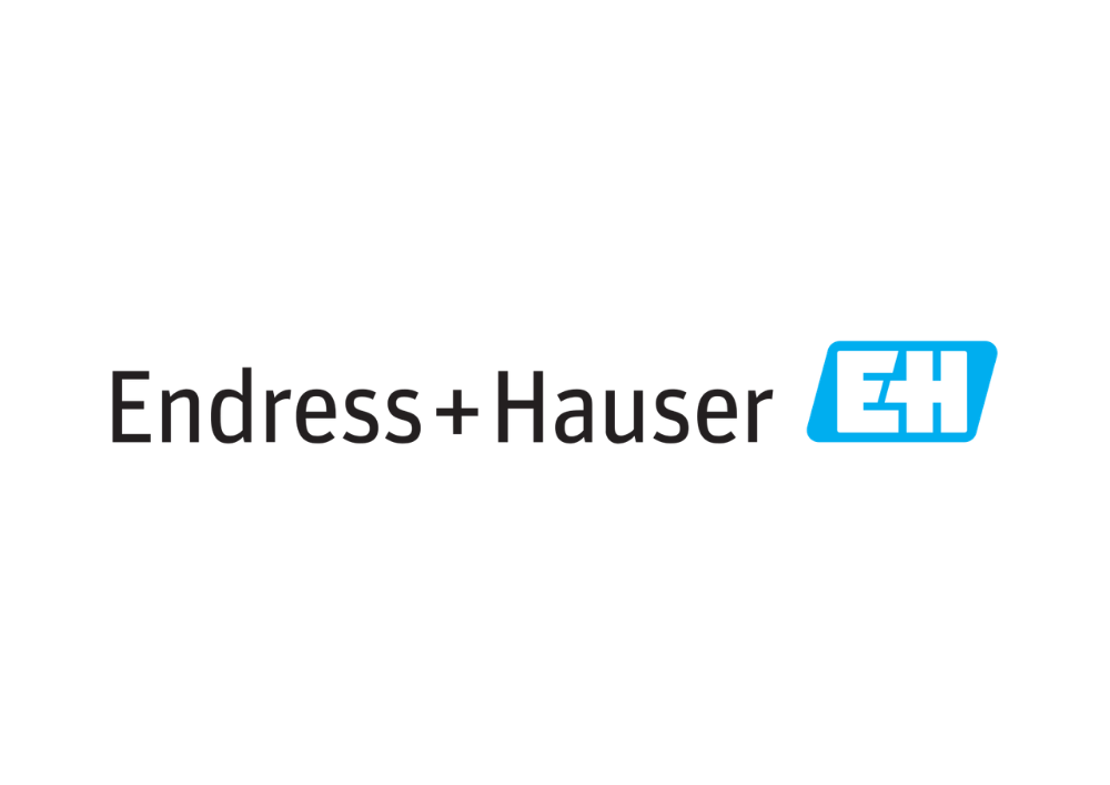 ENDRESS + HAUSER PERU