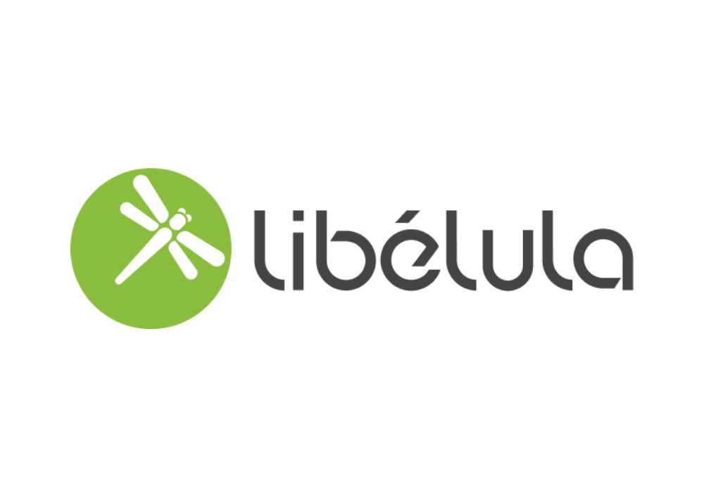 Libélula